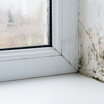 塗り替えない場合の結果その2